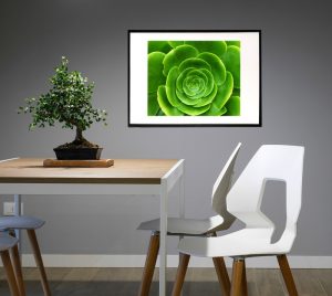 groen-abstrak-blomst-MS-natur-00025-billeder4you