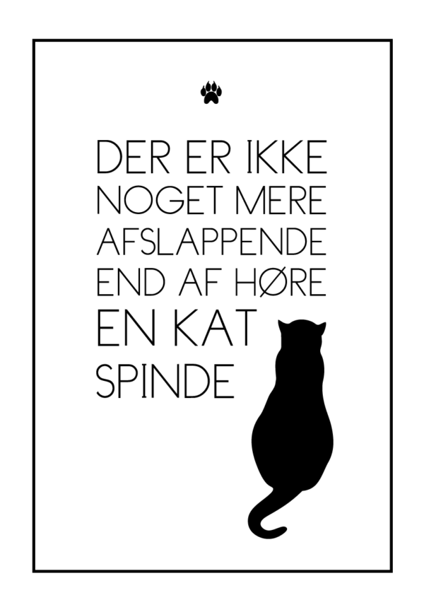 spindekatten - tekstplakat om katte fra Billeder4you